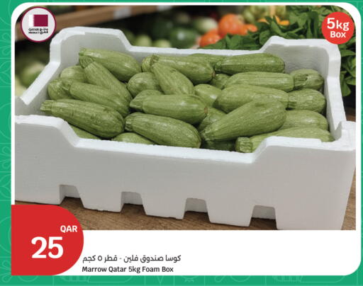 Marrow from Qatar available at سيتي هايبرماركت in قطر - الشحانية
