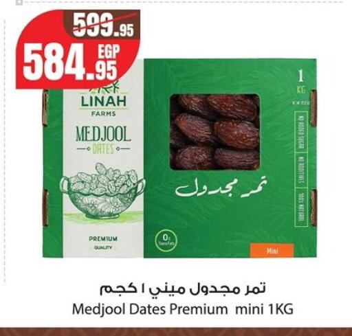 available at جيان مصر in Egypt - القاهرة