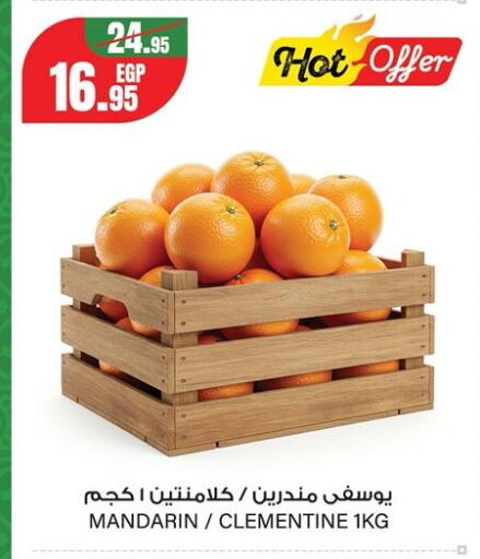 Mandarin from Egypt available at جيان مصر in Egypt - القاهرة