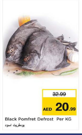 available at Nesto Hypermarket in UAE - Fujairah