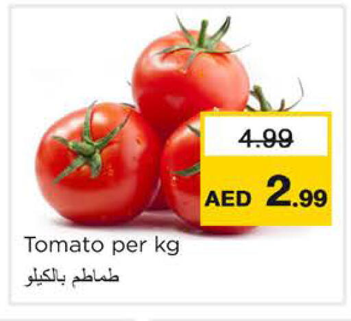Tomato available at نستو هايبرماركت in الإمارات العربية المتحدة , الامارات - رَأْس ٱلْخَيْمَة
