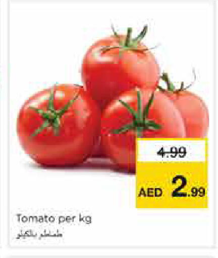 Tomato available at Nesto Hypermarket in UAE - Sharjah / Ajman