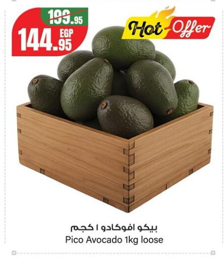 Avocado from Egypt available at جيان مصر in Egypt - القاهرة
