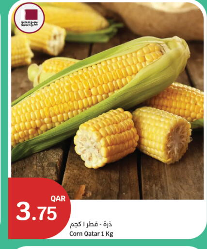 from Qatar available at سيتي هايبرماركت in قطر - الشحانية