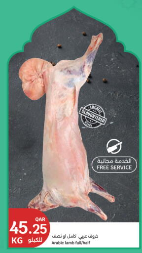 available at سيتي هايبرماركت in قطر - الشحانية