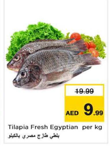 available at نستو هايبرماركت in الإمارات العربية المتحدة , الامارات - الشارقة / عجمان