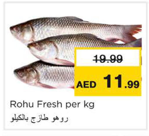 available at Nesto Hypermarket in UAE - Ras al Khaimah