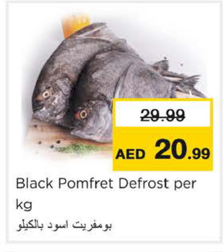 available at Nesto Hypermarket in UAE - Ras al Khaimah