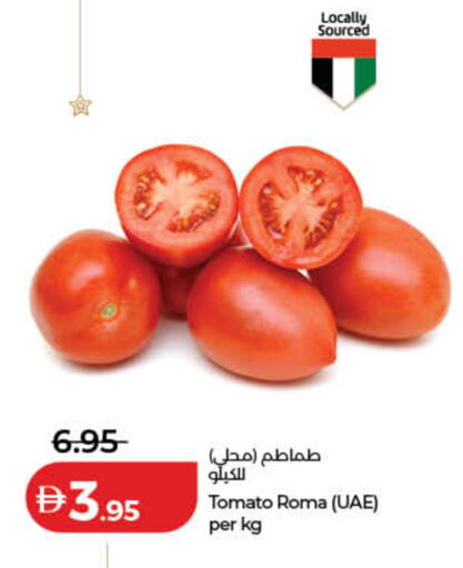 Tomato available at لولو هايبرماركت in الإمارات العربية المتحدة , الامارات - أم القيوين‎