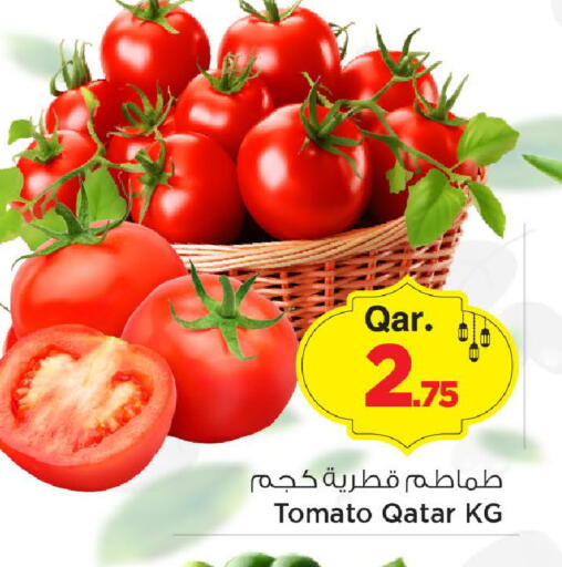 Tomato from Qatar available at مارك & سيف in قطر - الدوحة