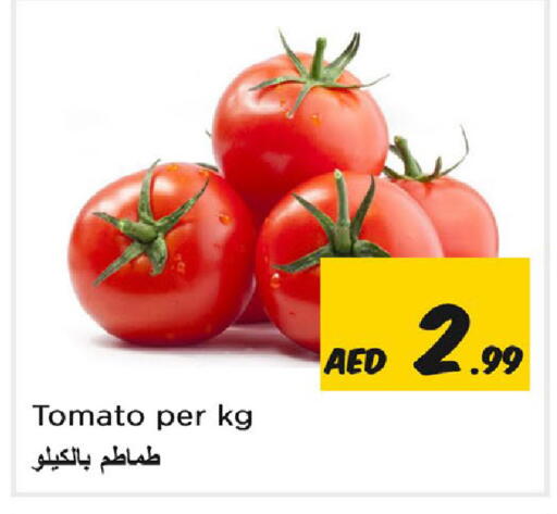 Tomato available at Nesto Hypermarket in UAE - Sharjah / Ajman