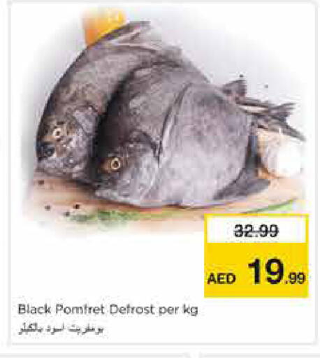 available at نستو هايبرماركت in الإمارات العربية المتحدة , الامارات - الشارقة / عجمان