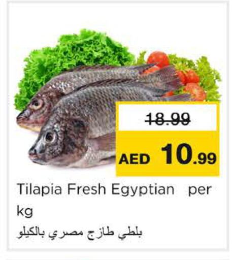 available at Nesto Hypermarket in UAE - Ras al Khaimah