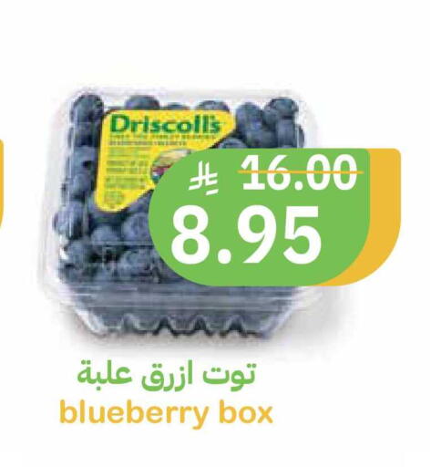 Blueberry BlueBerry available at أسواق قاطبة in مملكة العربية السعودية, السعودية, سعودية - بريدة