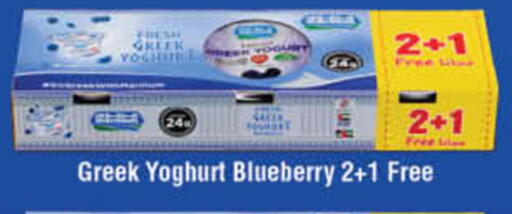 Blueberry BlueBerry available at لولو هايبرماركت in الإمارات العربية المتحدة , الامارات - دبي