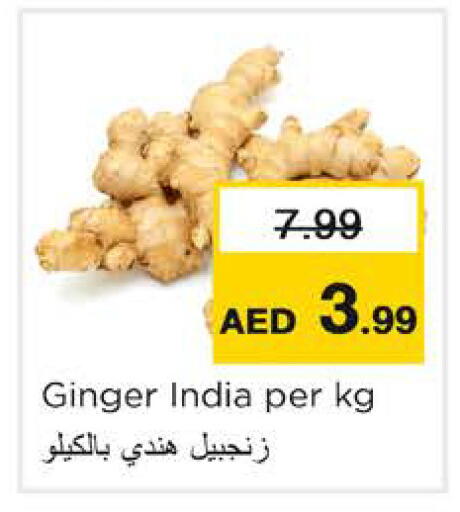 Ginger from India available at نستو هايبرماركت in الإمارات العربية المتحدة , الامارات - رَأْس ٱلْخَيْمَة