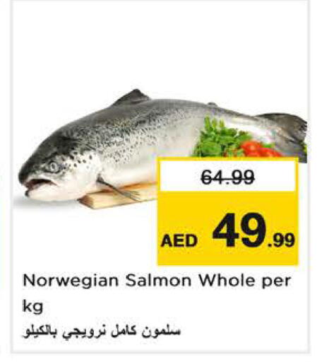 available at نستو هايبرماركت in الإمارات العربية المتحدة , الامارات - الشارقة / عجمان