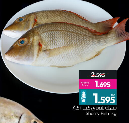 available at أنصار جاليري in البحرين