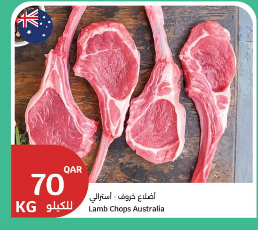 available at سيتي هايبرماركت in قطر - الشحانية