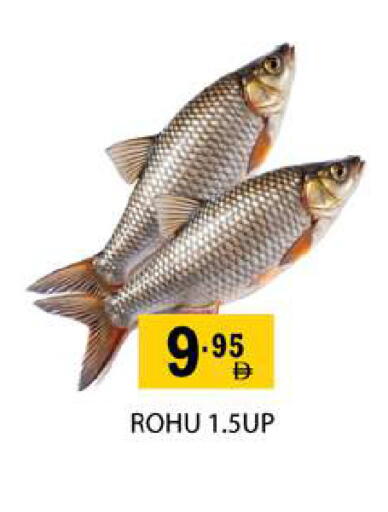 available at Zain Mart Supermarket in UAE - Ras al Khaimah