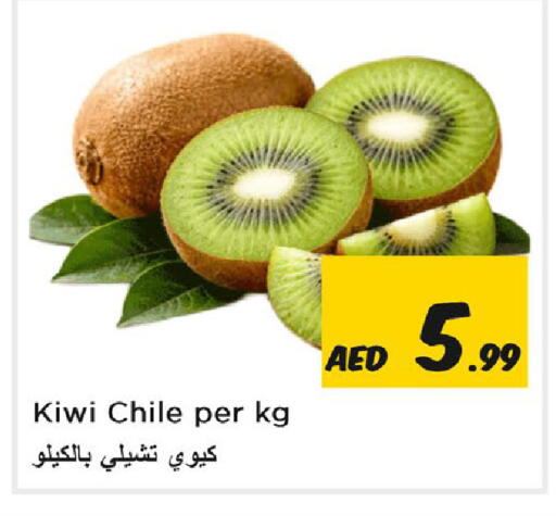 Kiwi from Chile available at نستو هايبرماركت in الإمارات العربية المتحدة , الامارات - الشارقة / عجمان