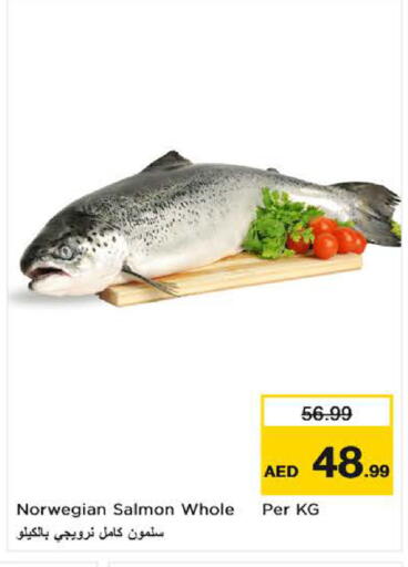 available at Nesto Hypermarket in UAE - Fujairah