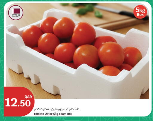 Tomato from Qatar available at سيتي هايبرماركت in قطر - الشحانية