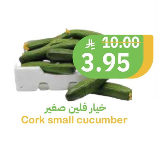 Cucumber available at Qateba Markets in KSA, Saudi Arabia, Saudi - Buraidah