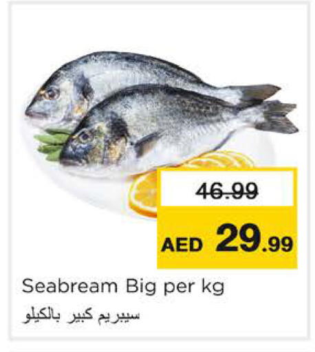 available at Nesto Hypermarket in UAE - Ras al Khaimah