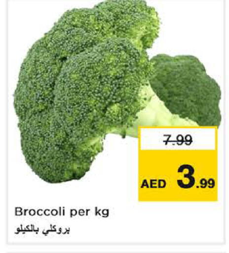 Broccoli available at نستو هايبرماركت in الإمارات العربية المتحدة , الامارات - دبي