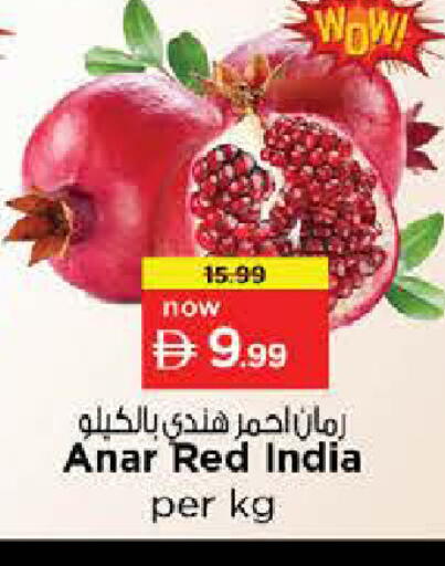 from India available at نستو هايبرماركت in الإمارات العربية المتحدة , الامارات - دبي