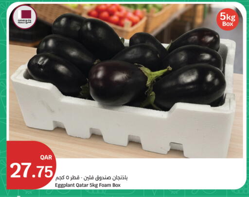 Eggplant from Qatar available at سيتي هايبرماركت in قطر - الشحانية
