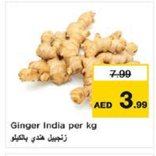 Ginger from India available at نستو هايبرماركت in الإمارات العربية المتحدة , الامارات - ٱلْعَيْن‎