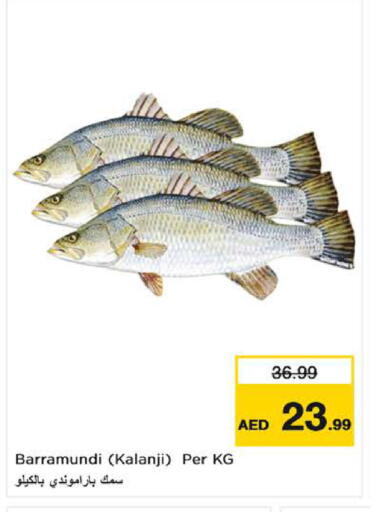 available at Nesto Hypermarket in UAE - Fujairah