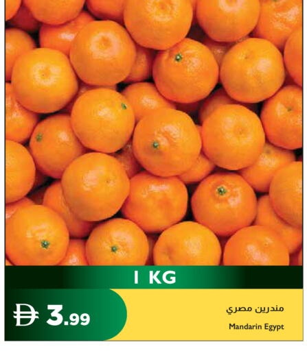 Mandarin from Egypt available at إسطنبول سوبرماركت in الإمارات العربية المتحدة , الامارات - ٱلْعَيْن‎