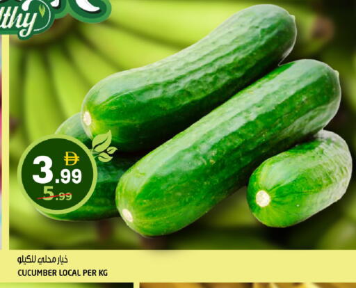 Cucumber available at هاشم هايبرماركت in الإمارات العربية المتحدة , الامارات - الشارقة / عجمان