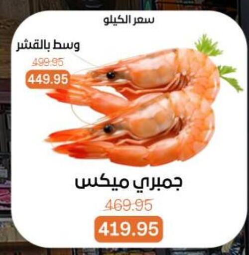 available at بيت الجملة in Egypt - القاهرة