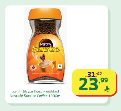 Chicory available at Al Raya in KSA, Saudi Arabia, Saudi - Jazan