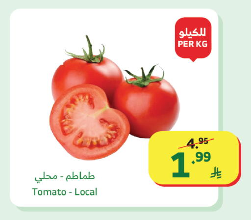 Tomato available at الراية in مملكة العربية السعودية, السعودية, سعودية - جدة