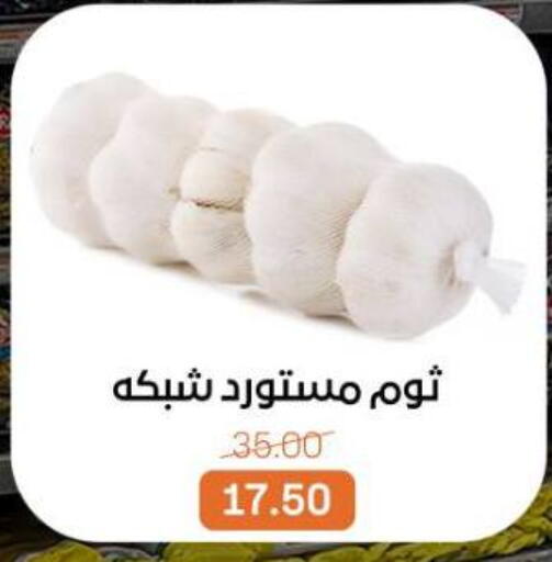 available at Beit El Gomla in Egypt - Cairo