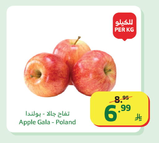 Apple from Poland available at Al Raya in KSA, Saudi Arabia, Saudi - Najran