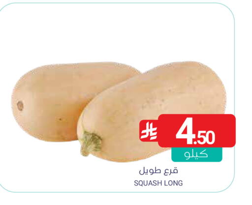 Squash available at Muntazah Markets in KSA, Saudi Arabia, Saudi - Qatif