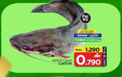 available at مارك & سايف in عُمان - مسقط‎