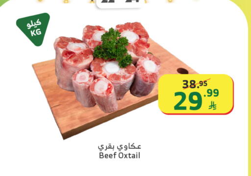 available at Al Raya in KSA, Saudi Arabia, Saudi - Ta'if