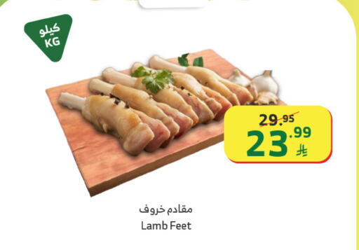available at Al Raya in KSA, Saudi Arabia, Saudi - Ta'if