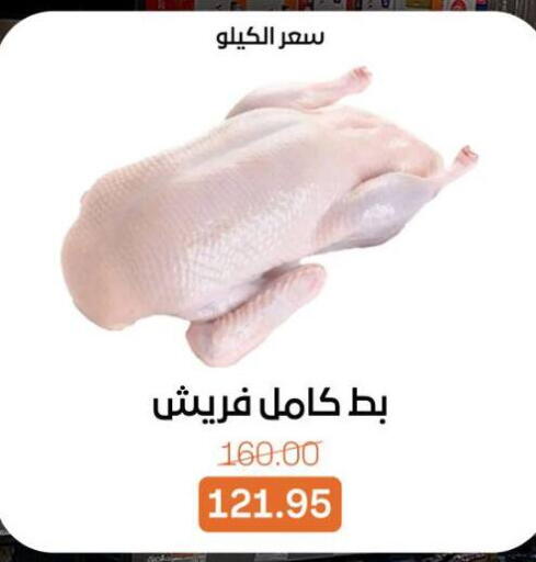 available at بيت الجملة in Egypt - القاهرة