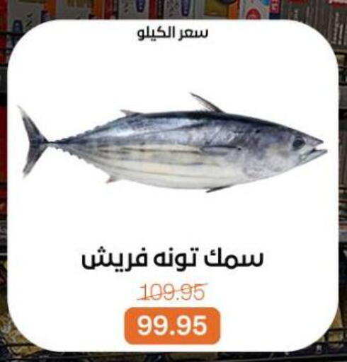 available at Beit El Gomla in Egypt - Cairo