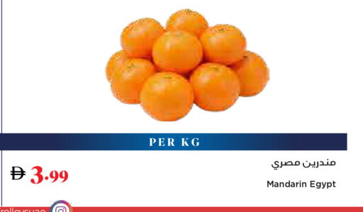 Mandarin from Egypt available at تروليز سوبرماركت in الإمارات العربية المتحدة , الامارات - الشارقة / عجمان
