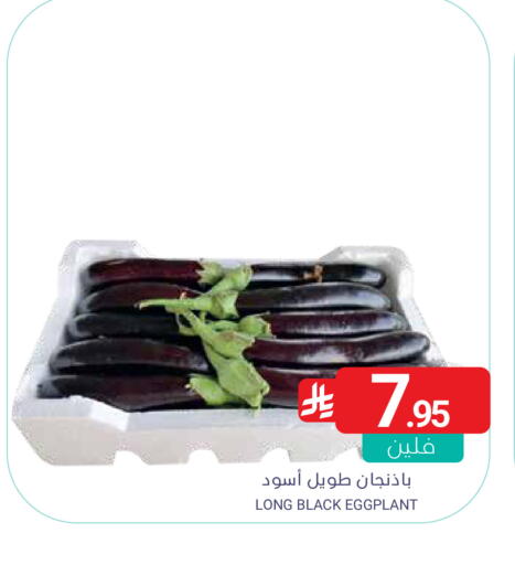 Eggplant available at Muntazah Markets in KSA, Saudi Arabia, Saudi - Qatif
