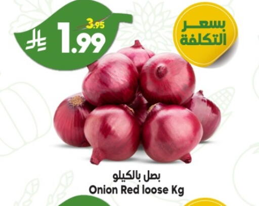Onion available at Dukan in KSA, Saudi Arabia, Saudi - Yanbu